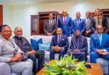 PRESIDENT TINUBU PROPOSES VISA WAIVERS FOR OECS OFFICIAL PASSPORT HOLDERS AS NIGERIA, SAINT LUCIA ESTABLISH DIPLOMATIC RELATIONS