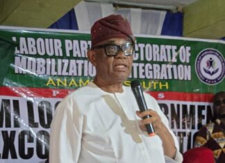 Chuma Nzeribe Emerges Labour Party Candidate for Anambra South Senatorial By-Election