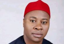 Ikonne Dismisses One-Party State Allegations, Defends Tinubu’s Democratic Record