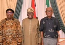 Fubara, Wike meet with Tinubu in Abuja